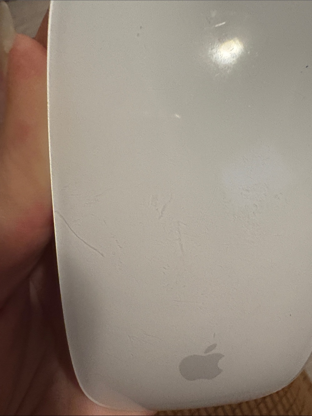 Apple Magic Mouse - Picture 5 of 5